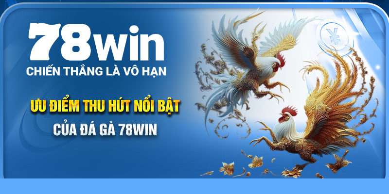 Ưu điểm thu hút nổi bật của Đá Gà 78Win